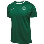 AB Fodboldafdeling Trænings T-Shirt - Grøn/Hvid - Hummel, størrelse Small