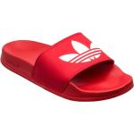Røde Sporty adidas Originals adilette Sommer Badesandaler i Syntetiske Størrelse 37 til Herrer på udsalg 