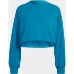 Blå Sporty adidas Sportswear Sommer Sweatshirts i Bomuld Størrelse XL til Damer på udsalg 