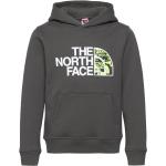 Grå The North Face Drew Peak Hættetrøjer til børn 