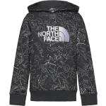 B Drew Peak P/O Hoodie Print Sport Sweatshirts & Hoodies Hoodies Grey The North Face