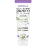 Økologisk Organisk Shampoo til Skadet hår til Volumizing effekt med Avocado 