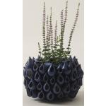 BLOWFISH vase - rund Blå
