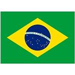 Brazil Flag 150 x 90 cm