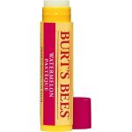 Burt's Bees Læbepomader med Shea butter til Damer 
