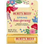 Burt's Bees Læbepomader med Bivoks Limited Edition til Damer på udsalg 