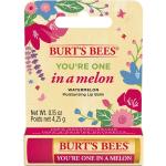 Burt's Bees Læbepomader med Shea butter Limited Edition til Damer 