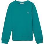 Calvin Klein Sweatshirts til børn Størrelse 164 