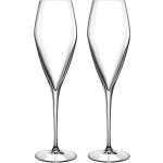Luigi Bormioli Atelier Champagneglas i Glas 