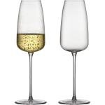 Champagneglas Veneto 2 Stk. Home Tableware Glass Champagne Glass Nude Lyngby Glas