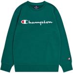 Champion Sweatshirts til børn i Bomuld Størrelse 98 