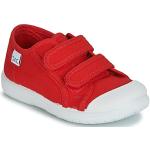 Røde Citrouille et Compagnie Sneakers med velcro Hælhøjde op til 3 cm Størrelse 20 til Børn på udsalg 