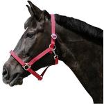 Classic Head Collar - Red, Size 2