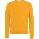 Gule Farverige Colorful Standard Sweaters i Uld Størrelse XL til Herrer 