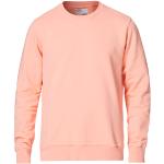 Klassiske Colorful Standard Økologiske Bæredygtige Sweatshirts i Bomuld Størrelse XL til Herrer 