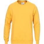 Gule Klassiske Colorful Standard Økologiske Bæredygtige Sweatshirts i Bomuld Størrelse XL til Herrer 
