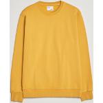 Gule Klassiske Colorful Standard Økologiske Bæredygtige Sweatshirts i Bomuld Størrelse XXL til Herrer 