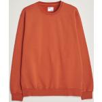 Røde Klassiske Colorful Standard Økologiske Bæredygtige Sweatshirts i Bomuld Størrelse XL til Herrer 