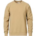Beige Klassiske Colorful Standard Økologiske Bæredygtige Sweatshirts i Bomuld Størrelse XL til Herrer 