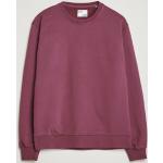 Blommefarvede Klassiske Colorful Standard Økologiske Bæredygtige Sweatshirts i Bomuld Størrelse XL til Herrer 