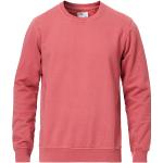 Pinke Klassiske Colorful Standard Økologiske Bæredygtige Sweatshirts i Bomuld Størrelse XL til Herrer 