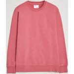 Pinke Klassiske Colorful Standard Økologiske Bæredygtige Sweatshirts i Bomuld Størrelse XL til Herrer 