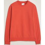 Røde Klassiske Colorful Standard Økologiske Bæredygtige Sweatshirts i Bomuld Størrelse XL til Herrer 