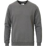 Grå Klassiske Colorful Standard Økologiske Bæredygtige Sweatshirts i Bomuld Størrelse XL til Herrer 