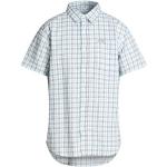 Klassiske Columbia Kortærmede skjorter i Bomuld med korte ærmer Størrelse XXL med Tern til Herrer 