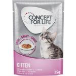 Concept for Life Maine Coon Kitten - Forbedret opskrift - Supplement: 12 x 85 g Concept for Life Kitten i sovs