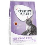 Concept for Life Mum & Young Kittens - FORBEDRET OPSKRIFT - 3 kg
