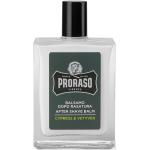 Proraso Aftershave 