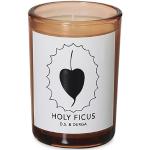 D.S. & Durga Holy Ficus Scented Candle 200g