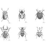 Day Poster Beetles, 6Pcs Sorted DAY Home White