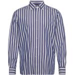 Blå Tommy Hilfiger Oxford skjorter Størrelse XL med Striber 