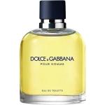 Dolce & Gabbana Pour Homme Eau de Toilette til Herrer 