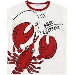 Hvide Dolce & Gabbana Sommer T-shirts Størrelse XL til Damer 