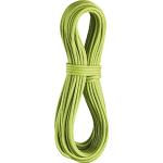 Edelrid Apus climbing rope pro dry 7.9 mm Green oasis Size:60 m