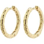 Elanor Rustic Texture Hoop Earrings Gold-Plated Accessories Jewellery Earrings Hoops Guld Pilgrim