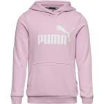 Pinke Puma Essentials Hættetrøjer Størrelse XL 