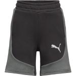 Puma EvoStripe Shorts Størrelse XL 