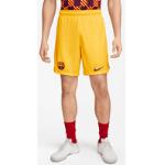 FC Barcelona 2023/24 Stadium Fourth Nike Dri FIT fodboldshorts til mænd gul