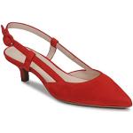 Røde Fericelli Højhælede sko Hælhøjde op til 3 cm Størrelse 41 til Damer 