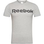 Grå Reebok Classic Skjorter Størrelse XL 