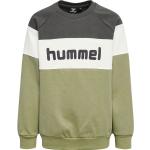 Hummel Danske brands Sweatshirts i Bomuld Størrelse 164 til Drenge fra Kids-world.dk på udsalg 