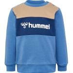 Blå Hummel Danske brands Sweatshirts i Bomuld Størrelse 98 til Drenge fra Kids-world.dk 