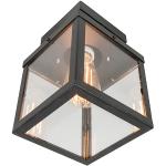 Industriel udendørs loftslampe sort 1-lys - Rotterdam