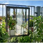 Juliana Gewächshaus Mini drivhuse i Glas 