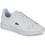 Hvide Lacoste Carnaby Sneakers Hælhøjde op til 3 cm Størrelse 36 til Børn 