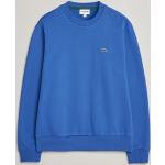 Blå Lacoste Sweatshirts Størrelse XL til Herrer 